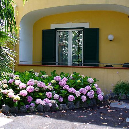 Hotel La Marticana イスキア島 エクステリア 写真