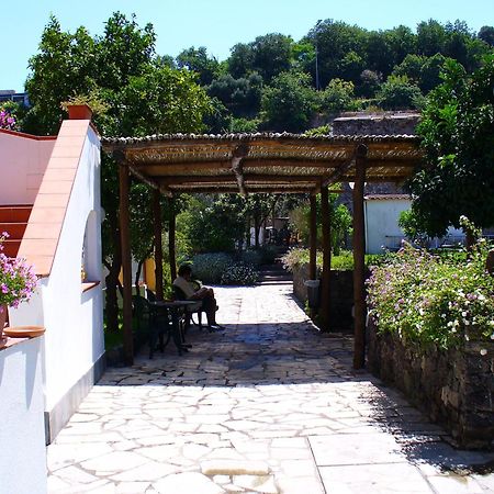 Hotel La Marticana イスキア島 エクステリア 写真