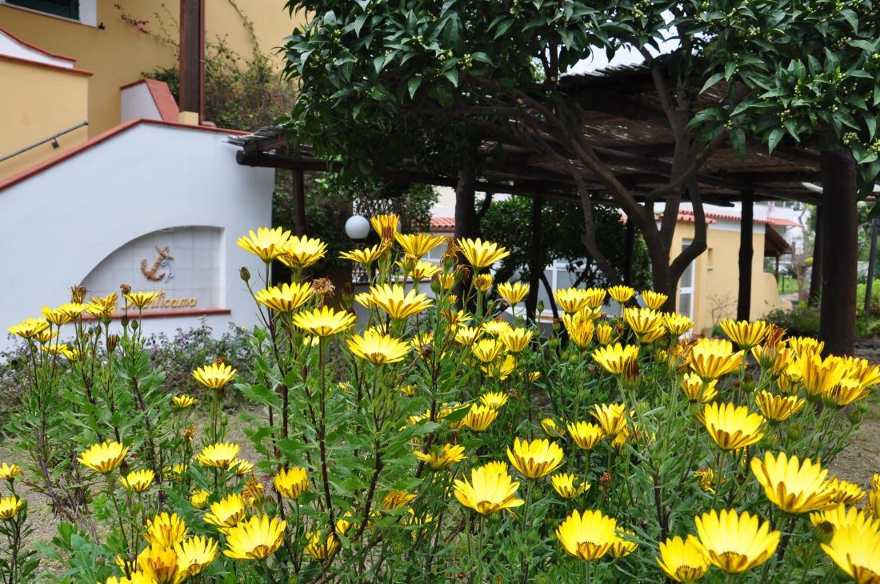Hotel La Marticana イスキア島 エクステリア 写真