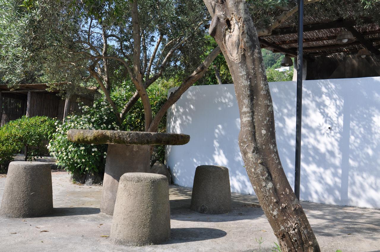 Hotel La Marticana イスキア島 エクステリア 写真
